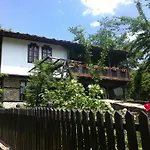 Stefanina 3*