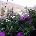 Stefanina 3* Bozhentsi