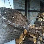 Stefanina
