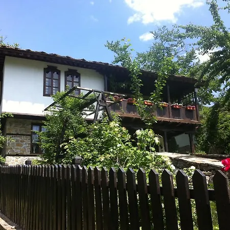 Stefanina 3*
