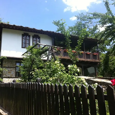 Stefanina 4*