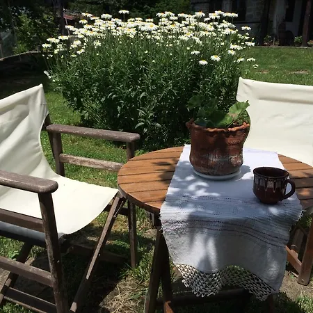 Guest house Stefanina