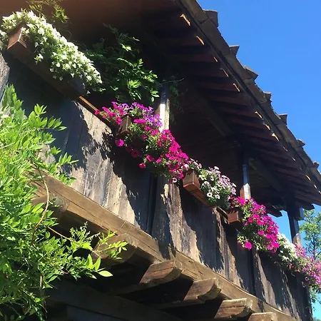Stefanina Guest house Bozhentsi