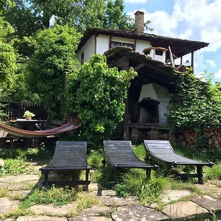 Stefanina 4*