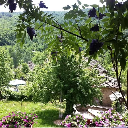 Pensiune Stefanina Bozhenți