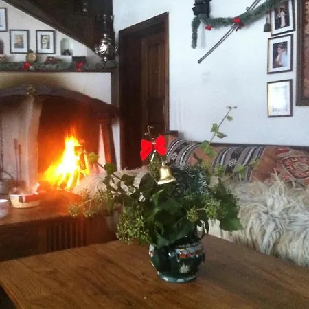 Stefanina 3*