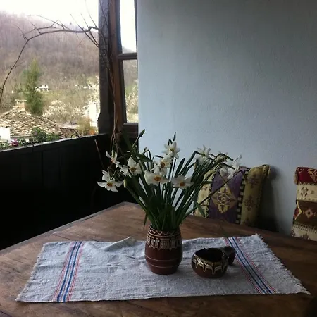 Stefanina