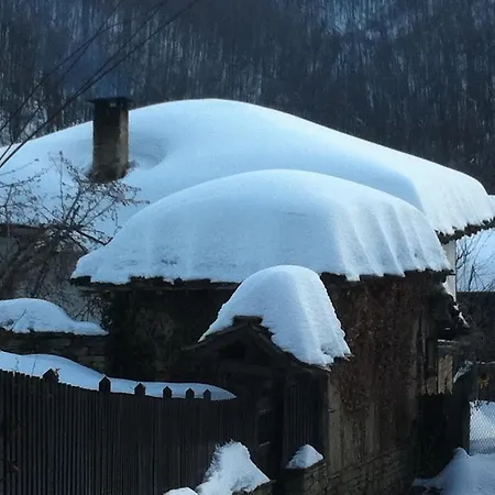 Stefanina 3* Bozhenți