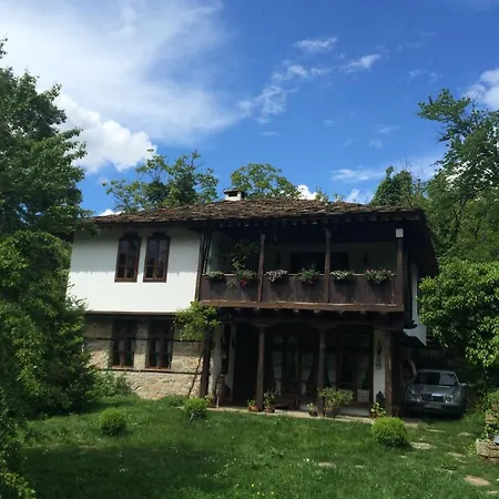 Stefanina 4*