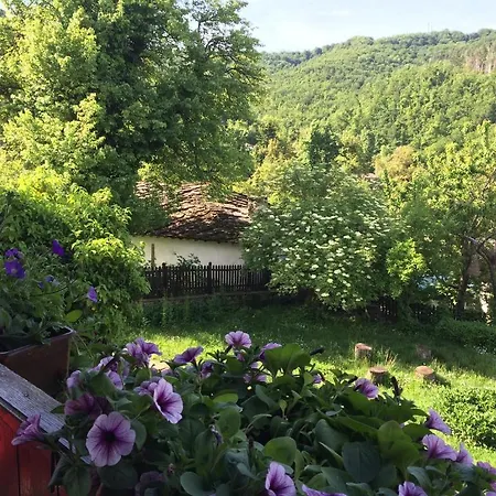 Stefanina 3* Bozhenți