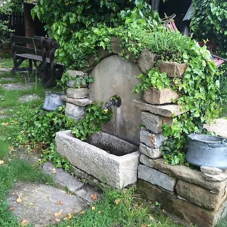 Guest house Stefanina 4*